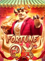 XPBET.COM